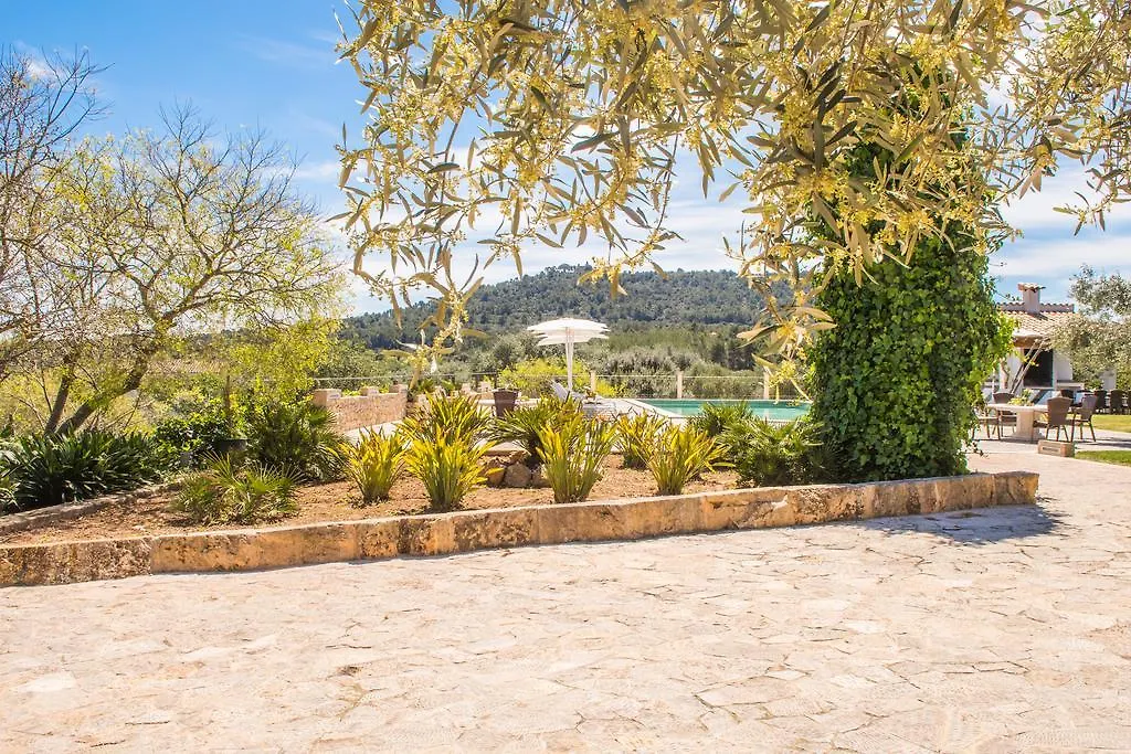 Agroturismo Son Burgues Petra  Hotel Petra (Mallorca)
